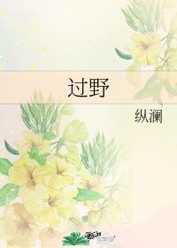 过野番外