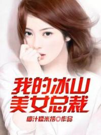 我的冰山美女总裁老婆叶帆