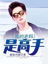 我的老妈是高手二十九