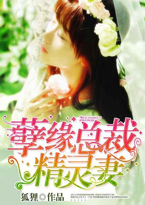 孽缘总裁精灵妻 狐狸