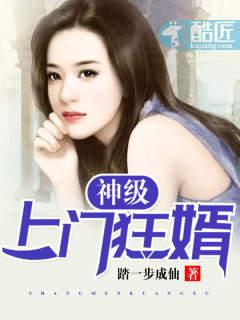 上门女婿林辰与苏洛